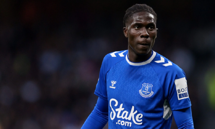 amadou onana everton