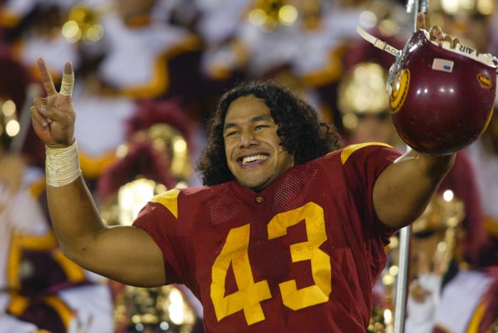 Troy Polamalu, Safety (1999-2002)