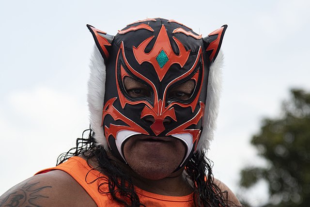 Lucha Libre Mask