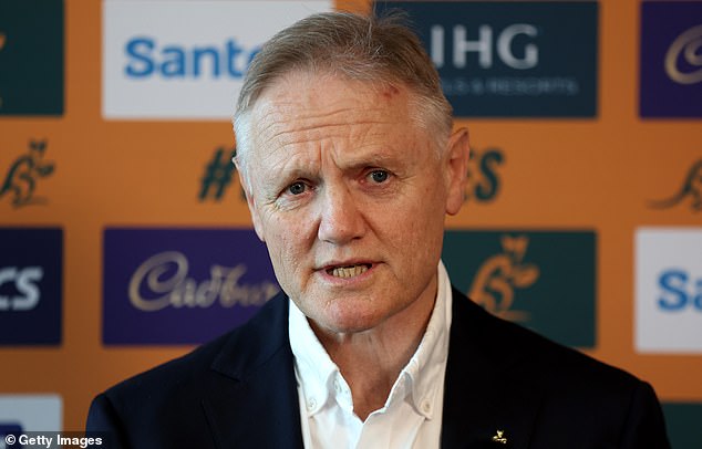 New Zealand born Joe Schmidt has replaced Eddie Jones as Wallabies head coach