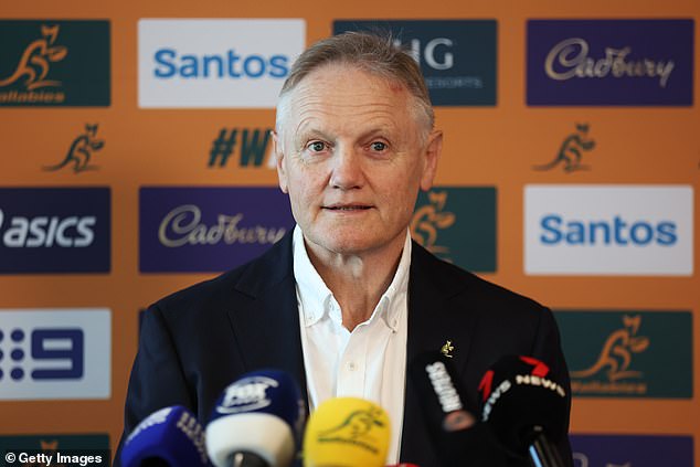 With Schmidt on board, Australia are convinced that they can be ready for the Lions ‘tempest’