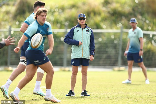 Schmidt was lured across the Tasman Sea after helping the All Blacks rally from a state of utter disarray, all the way to the World Cup Final in Paris