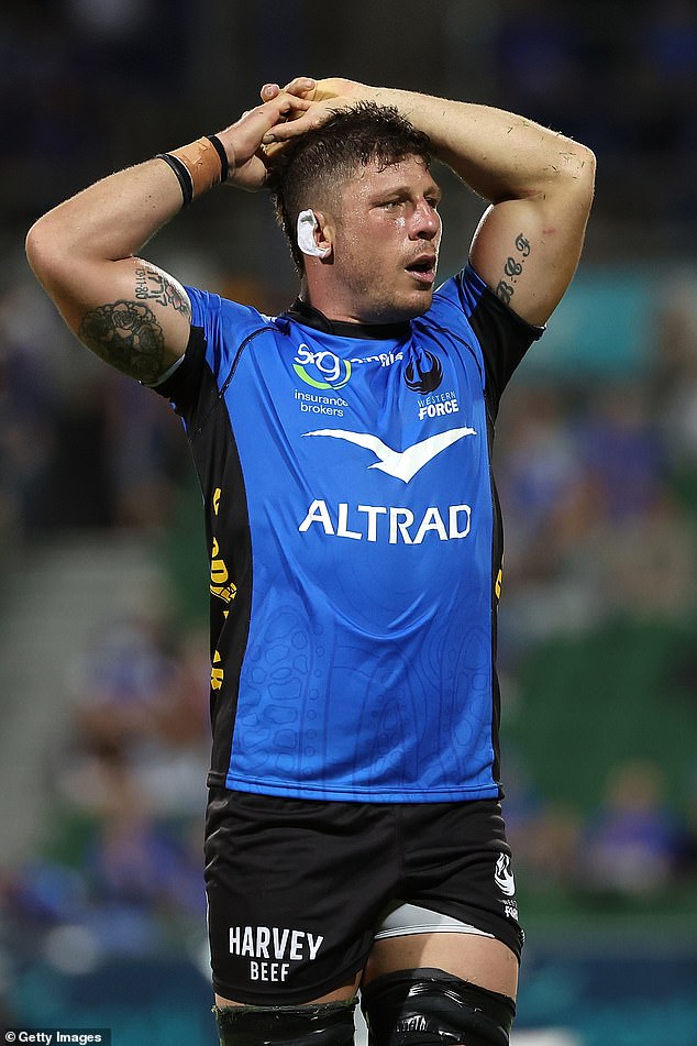 Former Western Force star Brynard Stander has revealed why he chased down alleged stabbers on Sunday