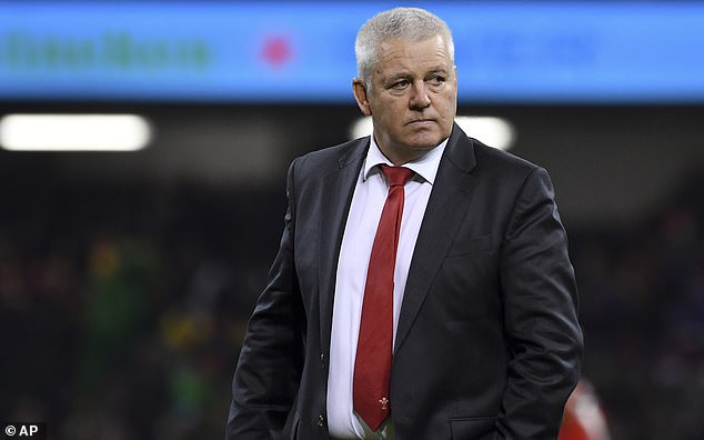 Warren Gatland (pictured) has welcomed a potential investment from Qatar in rugby union