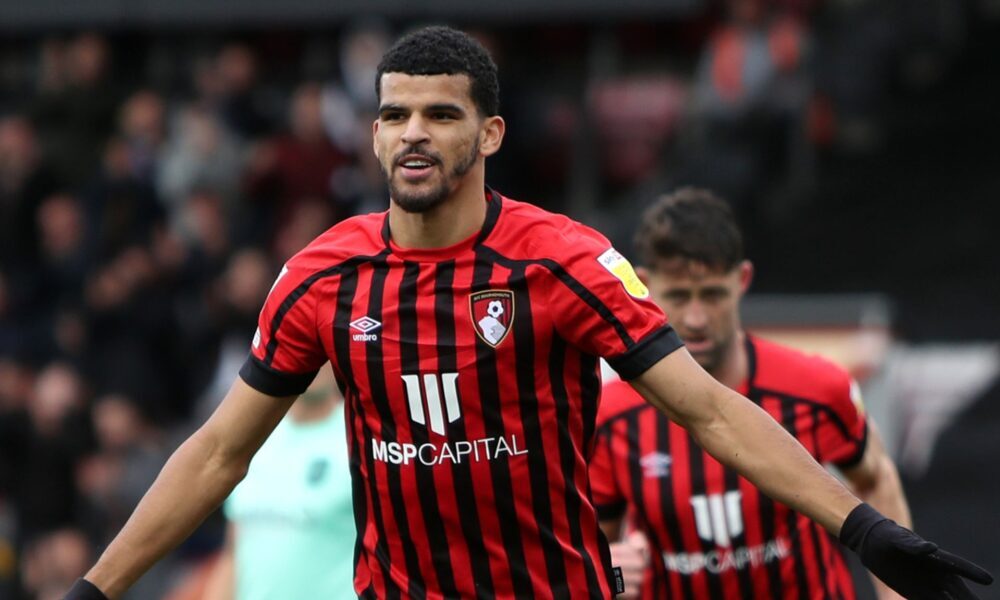 Bournemouth star Dominic Solanke