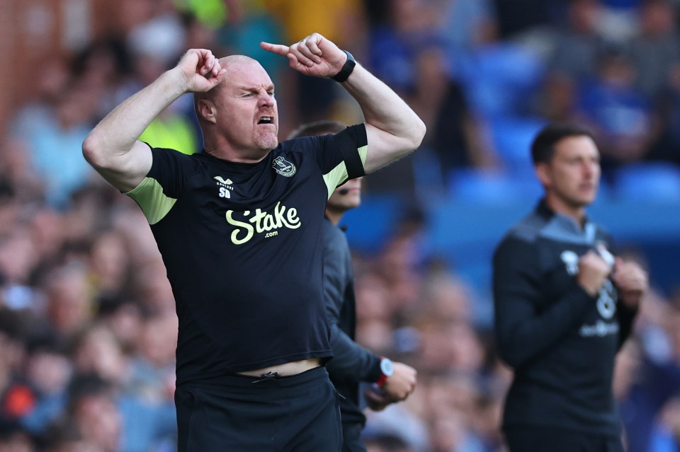 Dyche has his work cut out at Everton but is keeping them above water in difficult circumstances