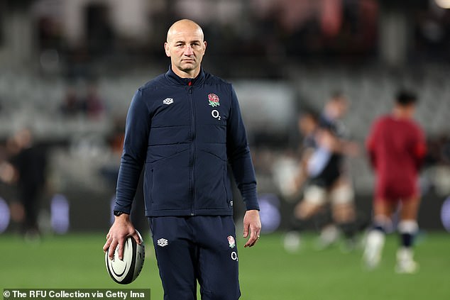 England head coach Steve Borthwick watched the game from the stands on Friday night