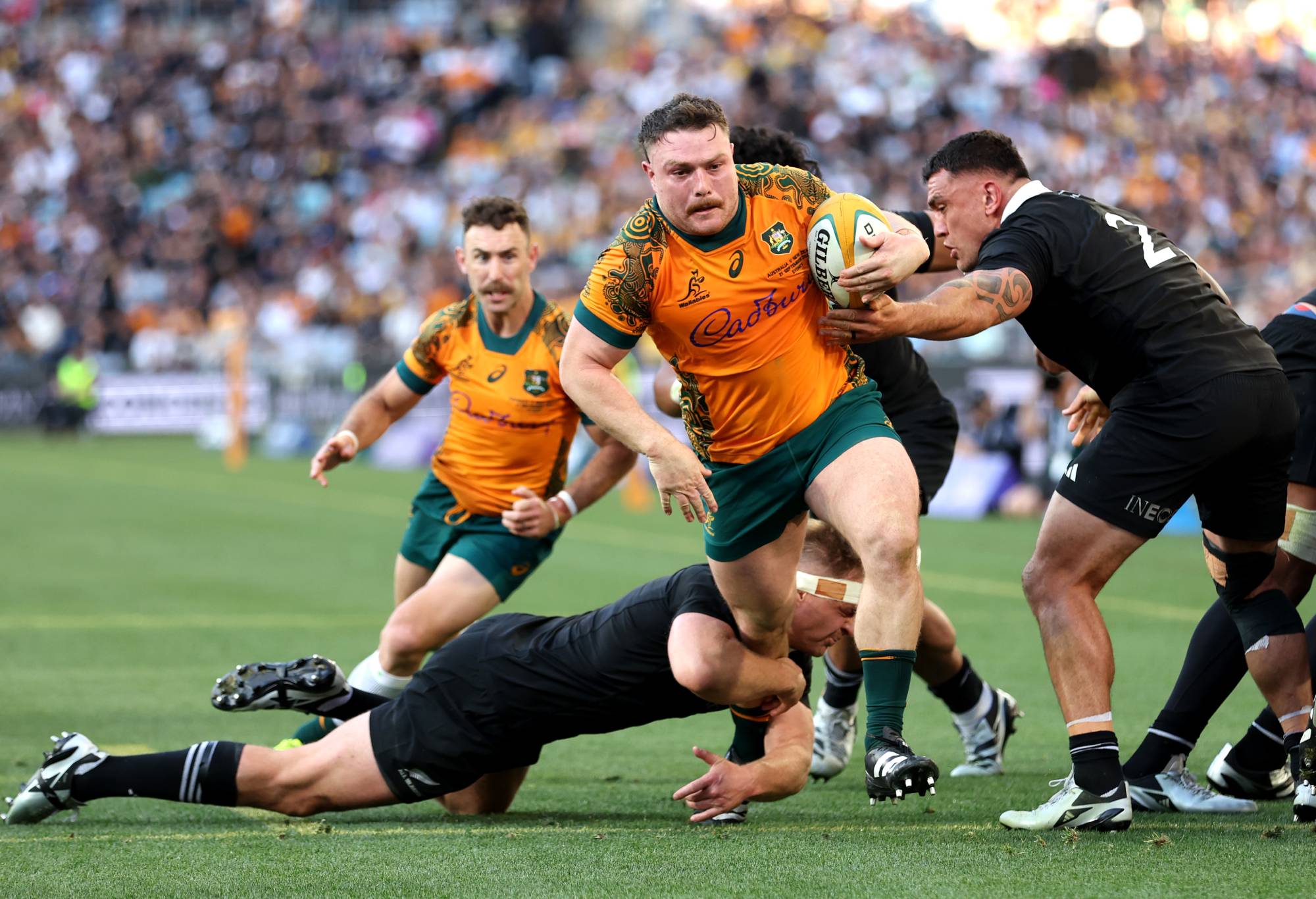 Matt Faessler of the Australian Wallabies dives over to score a try during The Rugby Championship & Bledisloe Cup match between Australia Wallabies and New Zealand All Blacks at Accor Stadium on September 21, 2024 in Sydney, Australia. (Photo by Mark Metcalfe/Getty Images)