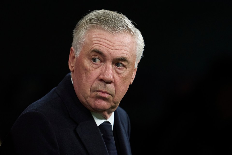 Carlo Ancelotti is keen to bring in a defender to add youth to an experienced back line