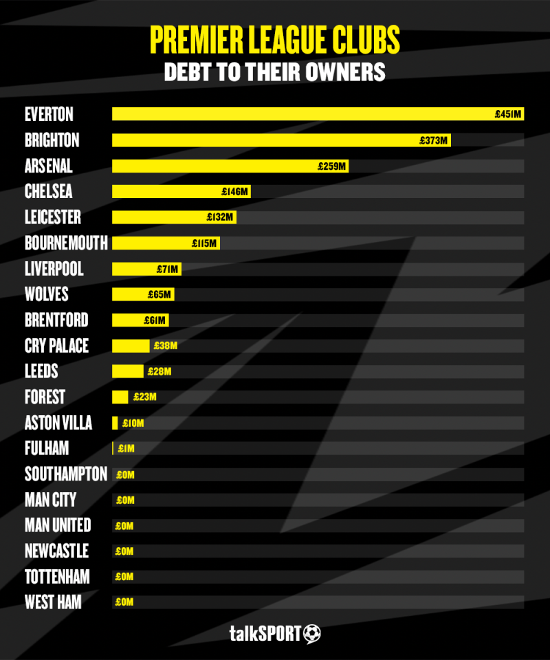 Table showing shareholder loans as at the end of the 2022/23 season - the majority being interest-free and with flexible repayment dates