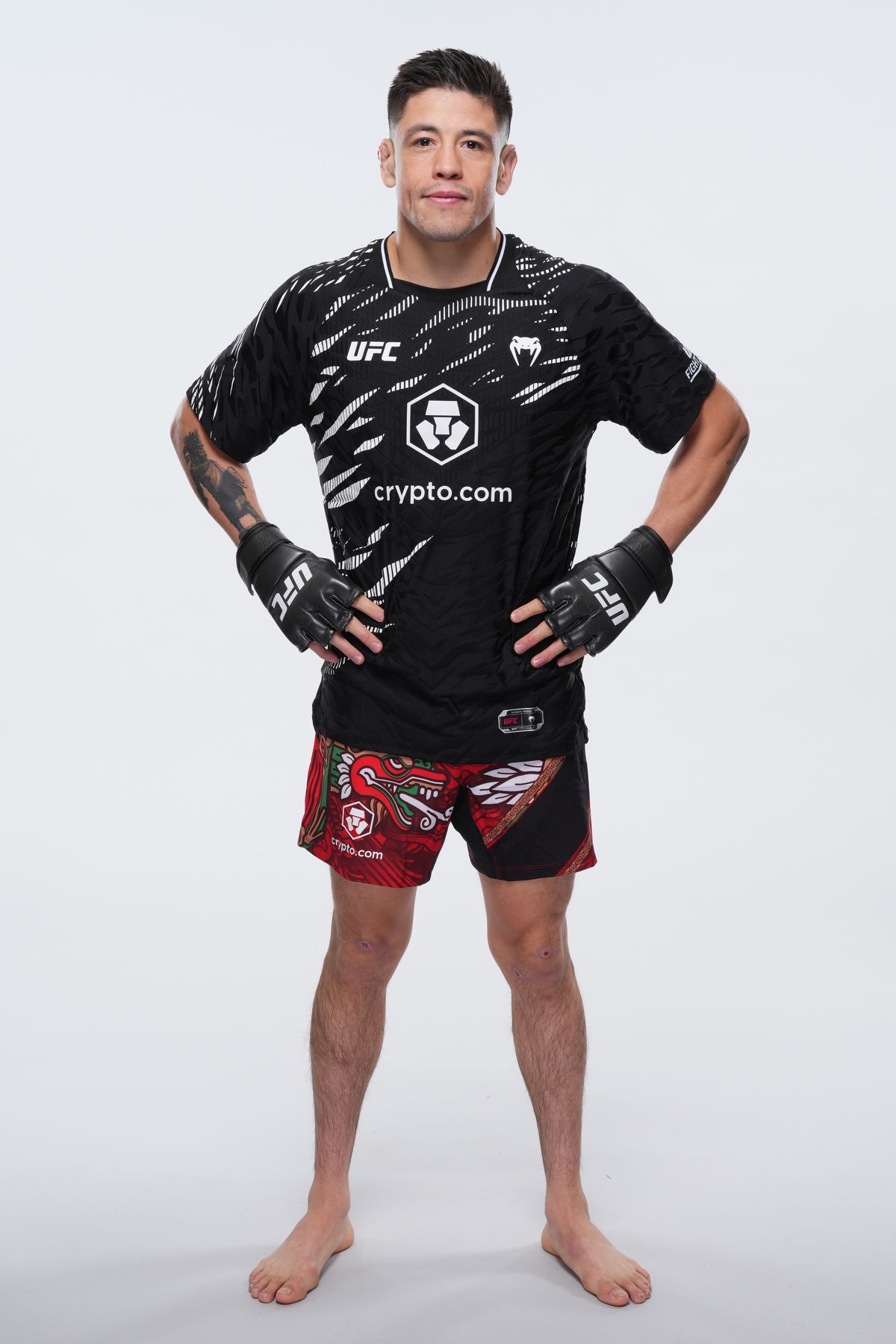 UFC Fighter Portraits