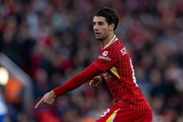 LIVERPOOL, ENGLAND - Saturday, November 2, 2024: Liverpool's Dominik Szoboszlai during the FA Premier League match between Liverpool FC and Brighton & Hove Albion FC at Anfield. (Photo by David Rawcliffe/Propaganda)