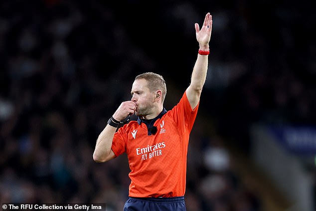 The decision to broadcast referee Angus Gardner's deliberations is a positive one that adds to the spectacle of watching the game live