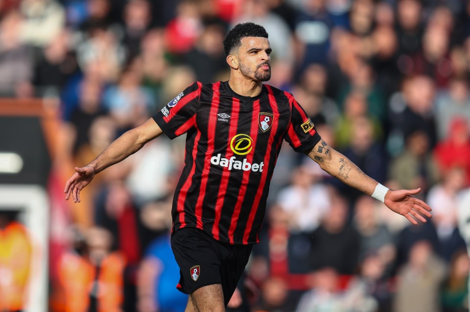 Solanke made a name for himself at Bournemouth, scoring 77 goals in 216 appearances