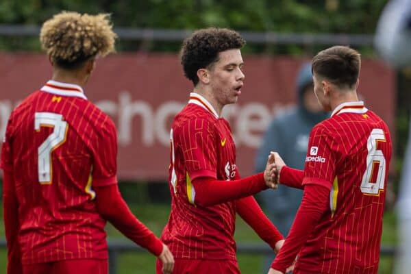 KIRKBY, ENGLAND - Tuesday, November 5, 2024: Liverpool's Kieran Morrison celebrates after scoring his side's first equalising goal during the UEFA Youth League game between Liverpool FC Under-19's and Bayer Leverkusen Under-19's at the Liverpool Academy. (Photo by David Rawcliffe/Propaganda)