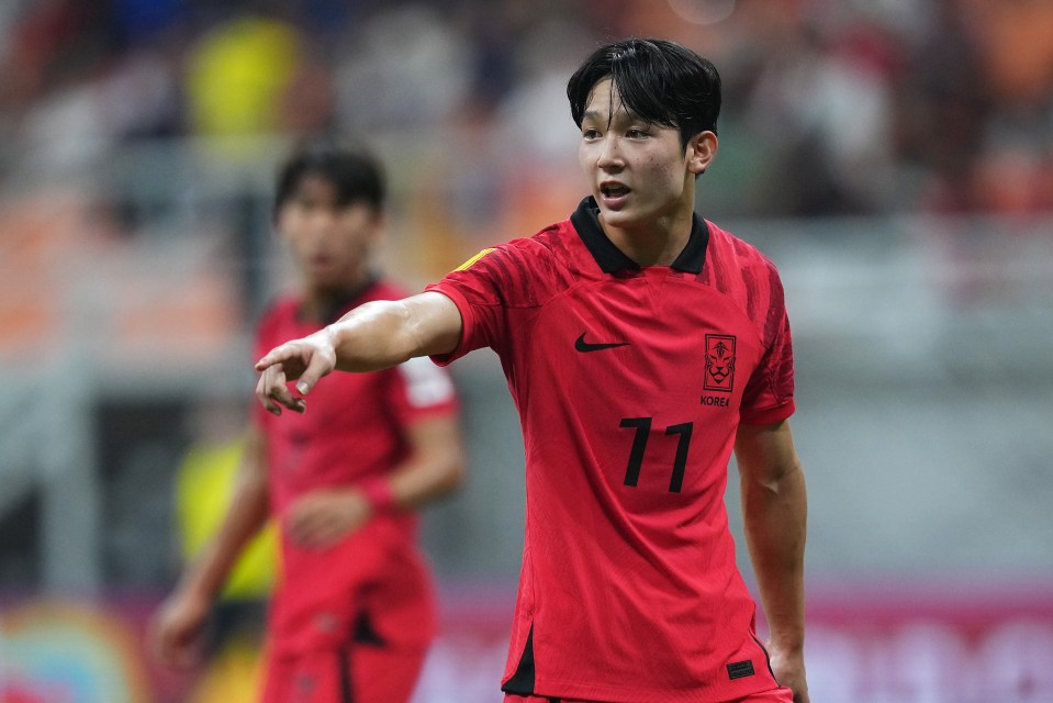 Yand has one South Korea cap and has earned a glowing review from his international and new club captain Son Heung-min