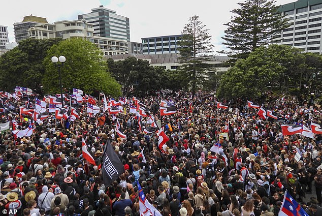 A proposed piece of legislation has caused outrage among some Maori communities in the country