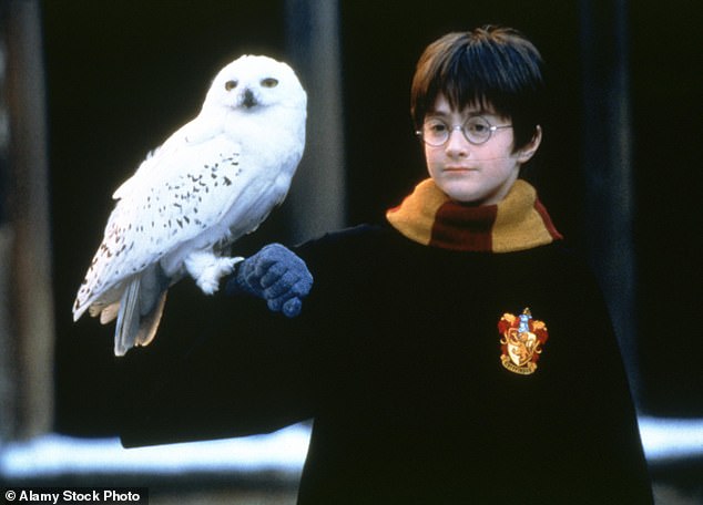 The winger was born six months after JK Rowling released the first book of her famous series