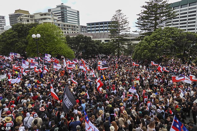 Over 40,000 citizens have been protesting a new piece of legislation that could drastically alter New Zealand's founding document, the Waitangi Treaty