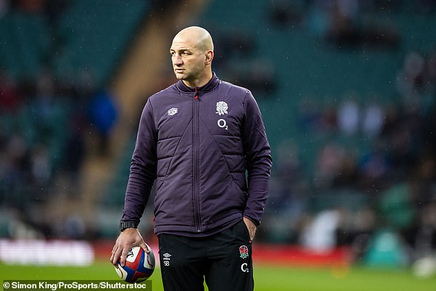 Steve Borthwick has to sort out England's defensive issues before the Six Nations