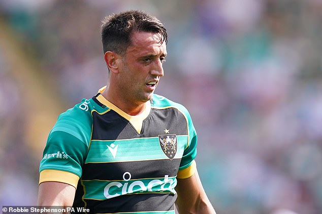 The status of Northampton Saints' scrum-half Alex Mitchell has enhanced during his absence