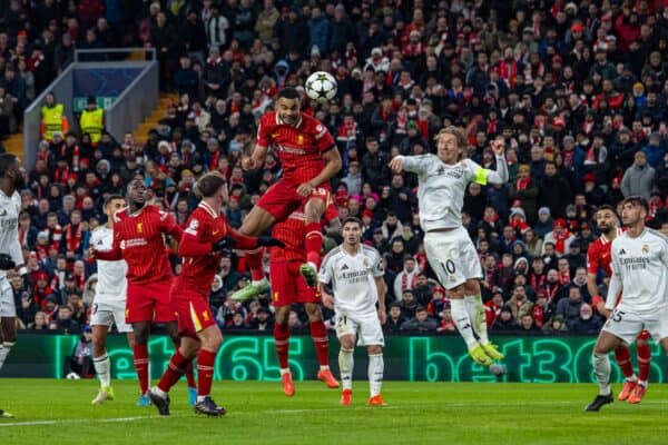 LIVERPOOL, ENGLAND - Wednesday, November 27, 2024: Liverpool's Cody Gakpo scores the second goal with a header during the UEFA Champions League game between Liverpool FC and Real Madrid CF at Anfield. (Photo by David Rawcliffe/Propaganda)