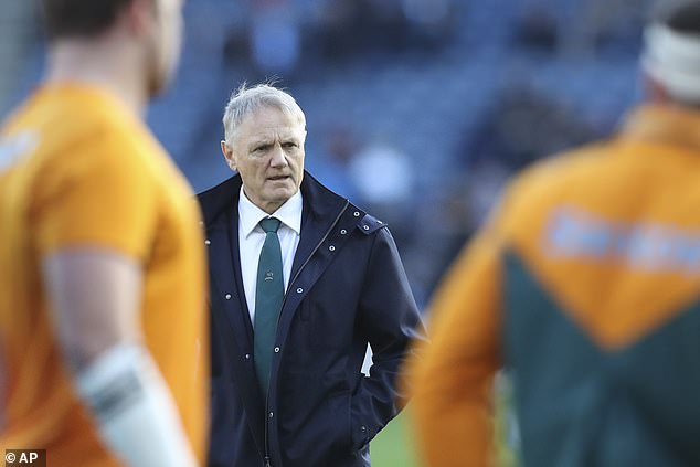 Wallabies boss Joe Schmidt will recommence hostilities with Farrell when the Lions arrive in Australia next summer