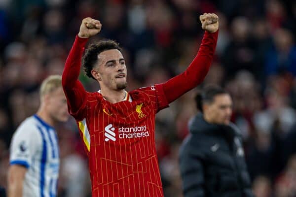 LIVERPOOL, ENGLAND - Saturday, November 2, 2024: Liverpool's Curtis Jones celebrates after the FA Premier League match between Liverpool FC and Brighton & Hove Albion FC at Anfield. (Photo by David Rawcliffe/Propaganda)