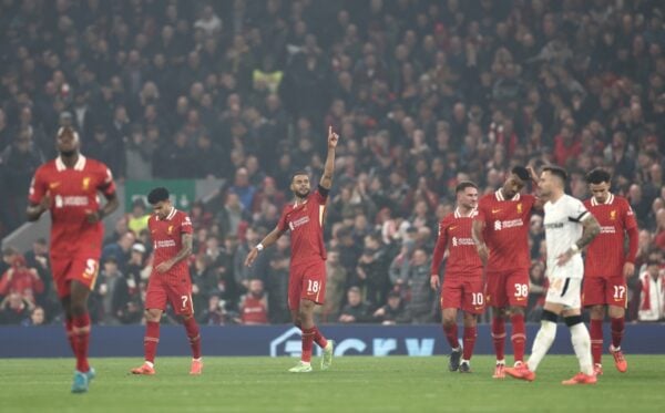 LIVERPOOL, ENGLAND - NOVEMBER 05: Cody Gakpo of Liverpool celebrates scoring his team's second goal during the UEFA Champions League 2024/25 League Phase MD4 match between Liverpool FC and Bayer 04 Leverkusen at Anfield on November 05, 2024 in Liverpool, England. (Photo by Naomi Baker - UEFA/UEFA via Getty Images)