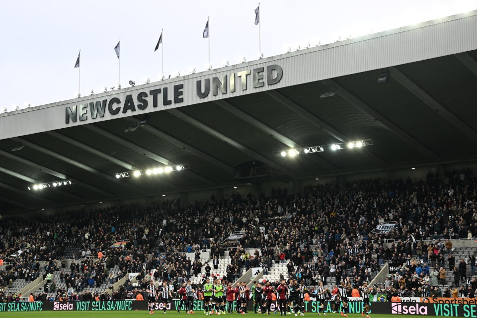 Newcastle will either redevelop St. James' Park or move to a new stadium close by