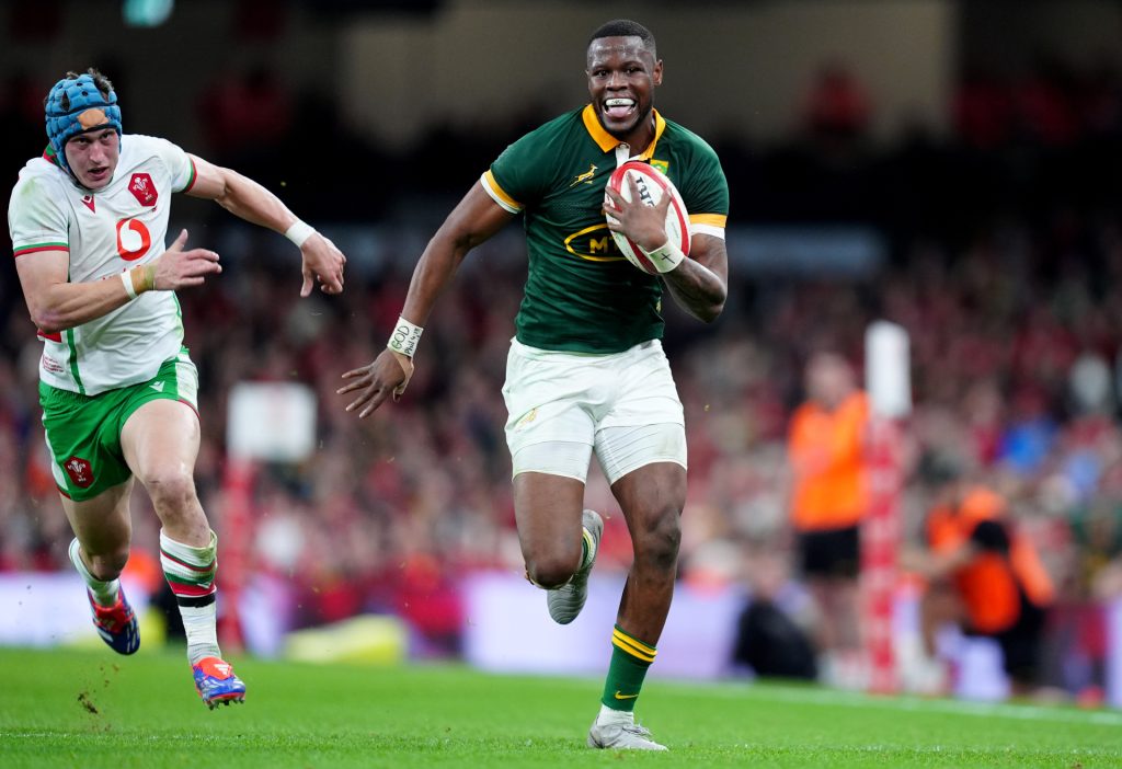 Wales v South Africa - Autumn International - Principality Stadium