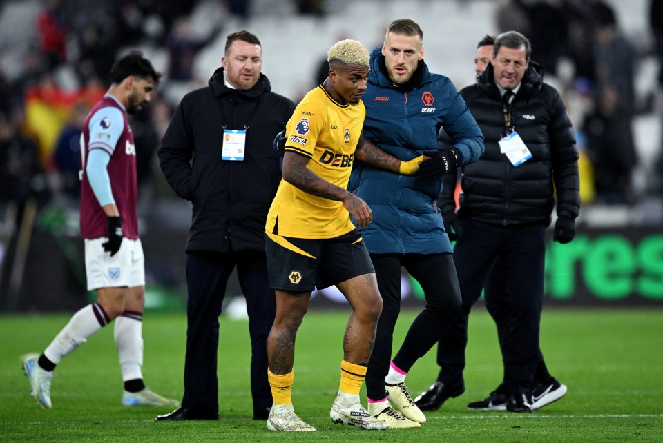 Wolves fan Dale was not a fan of Lemina's conduct, especially given he is the club captain