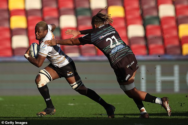 He hasn't looked back since joining London Irish, even though the club went bust in 2023