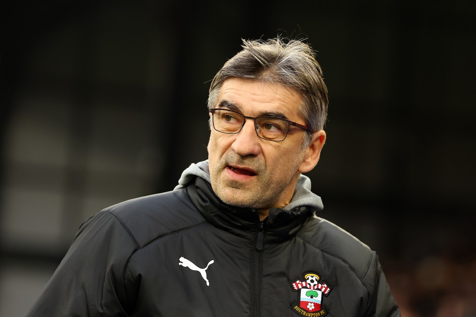 Juric has a serious job on his hands at Southampton