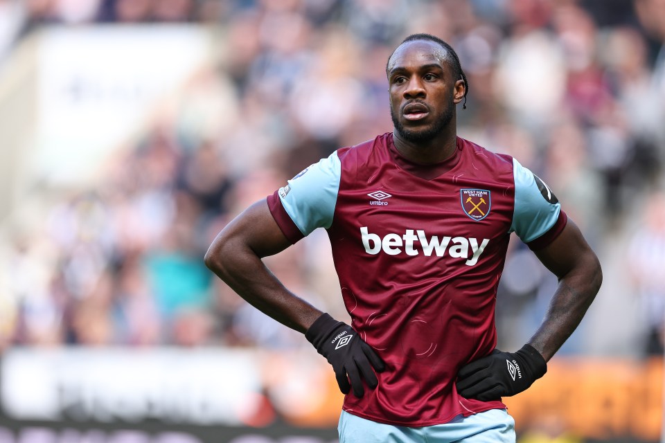 Michail Antonio was involved in a road traffic accident on Saturday